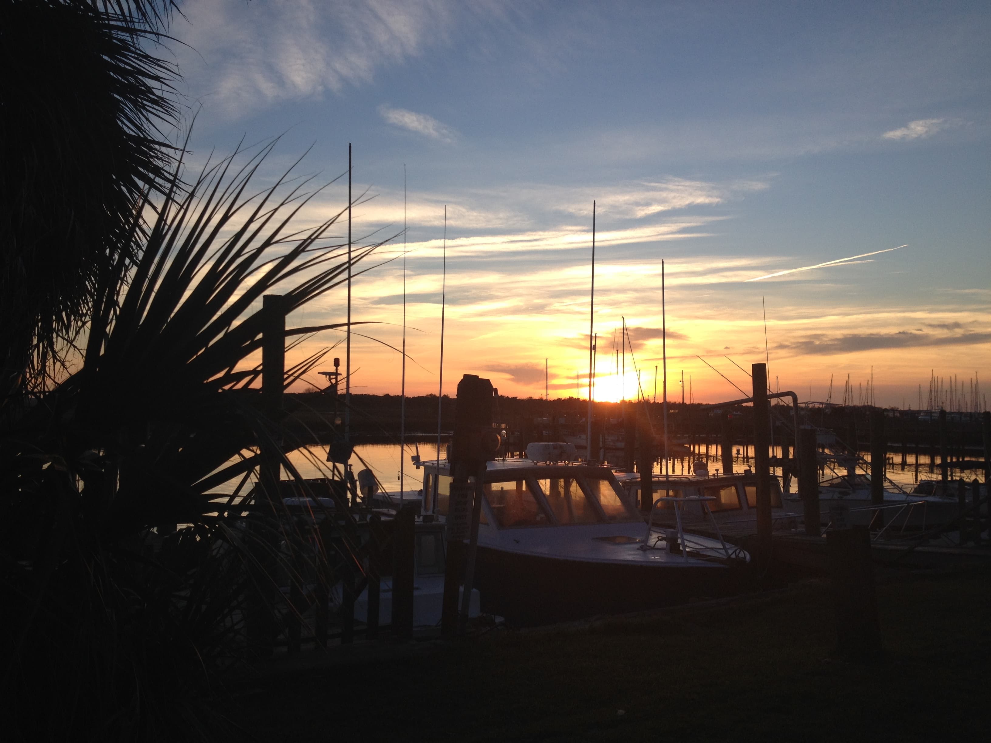 Marina sunset silhouette